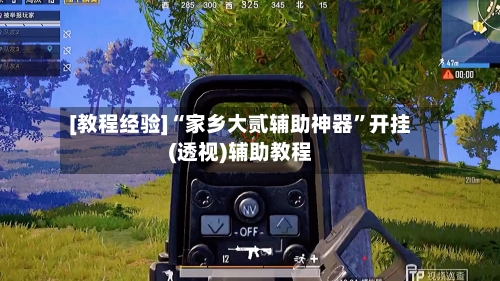 [教程经验]“家乡大贰辅助神器”开挂(透视)辅助教程-第1张图片