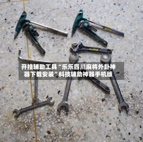 开挂辅助工具“乐乐四川麻将外卦神器下载安装	”科技辅助神器手机版-第1张图片