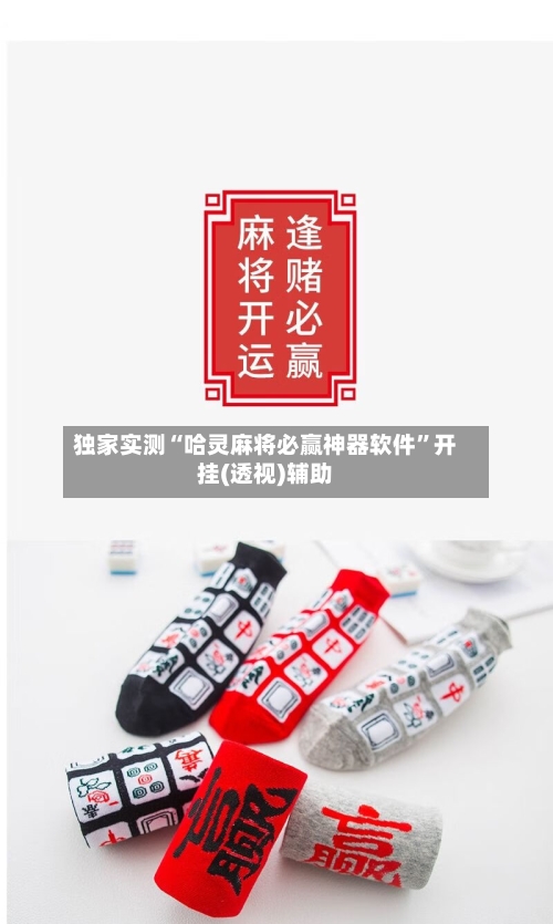 独家实测“哈灵麻将必赢神器软件”开挂(透视)辅助-第3张图片