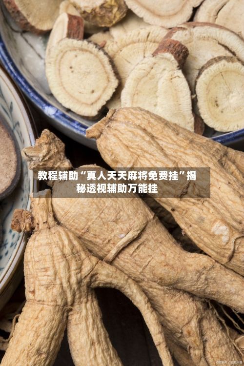 教程辅助“真人天天麻将免费挂	”揭秘透视辅助万能挂-第1张图片