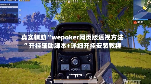 真实辅助“wepoker网页版透视方法”开挂辅助脚本+详细开挂安装教程-第1张图片