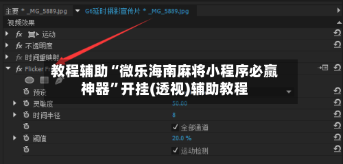 教程辅助“微乐海南麻将小程序必赢神器”开挂(透视)辅助教程-第2张图片