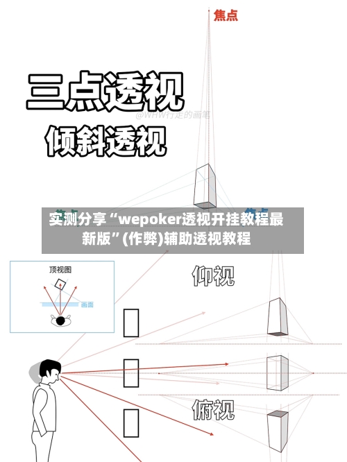 实测分享“wepoker透视开挂教程最新版”(作弊)辅助透视教程-第3张图片