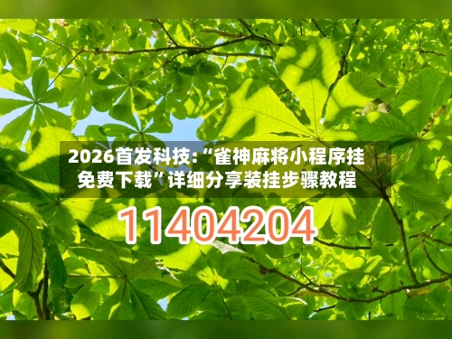 2026首发科技:“雀神麻将小程序挂免费下载”详细分享装挂步骤教程-第3张图片