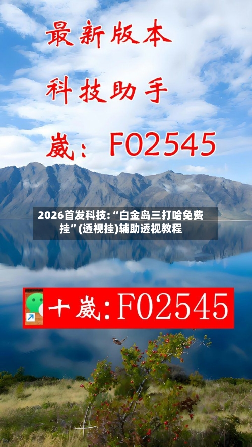 2026首发科技:“白金岛三打哈免费挂”(透视挂)辅助透视教程-第1张图片