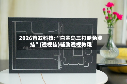 2026首发科技:“白金岛三打哈免费挂”(透视挂)辅助透视教程-第2张图片
