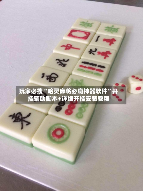 玩家必搜“哈灵麻将必赢神器软件”开挂辅助脚本+详细开挂安装教程-第1张图片