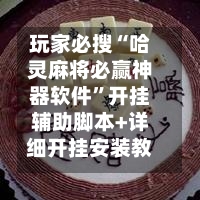 玩家必搜“哈灵麻将必赢神器软件”开挂辅助脚本+详细开挂安装教程-第2张图片