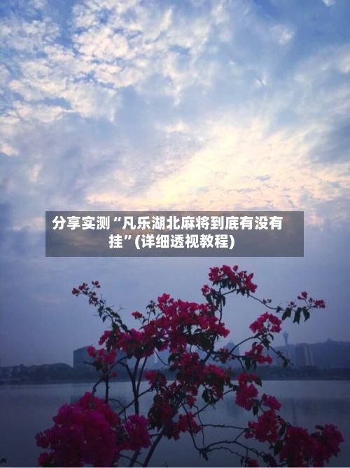 分享实测“凡乐湖北麻将到底有没有挂”(详细透视教程)-第1张图片