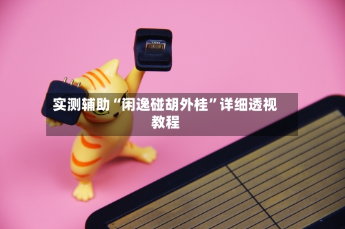 实测辅助“闲逸碰胡外桂”详细透视教程-第2张图片