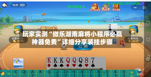 玩家实测“微乐湖南麻将小程序必赢神器免费”详细分享装挂步骤-第2张图片