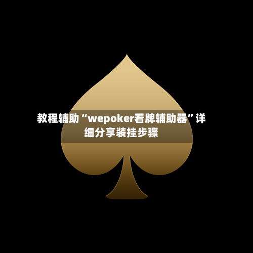 教程辅助“wepoker看牌辅助器	”详细分享装挂步骤-第2张图片