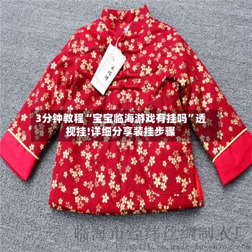 3分钟教程“宝宝临海游戏有挂吗”透视挂!详细分享装挂步骤-第1张图片