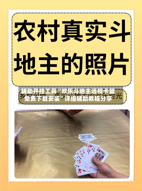 辅助开挂工具“欢乐斗地主透视卡盟免费下载安装”详细辅助教程分享-第1张图片