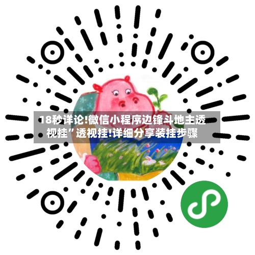 18秒详论!微信小程序边锋斗地主透视挂”透视挂!详细分享装挂步骤-第1张图片
