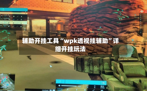 辅助开挂工具“wpk透视挂辅助”详细开挂玩法-第1张图片