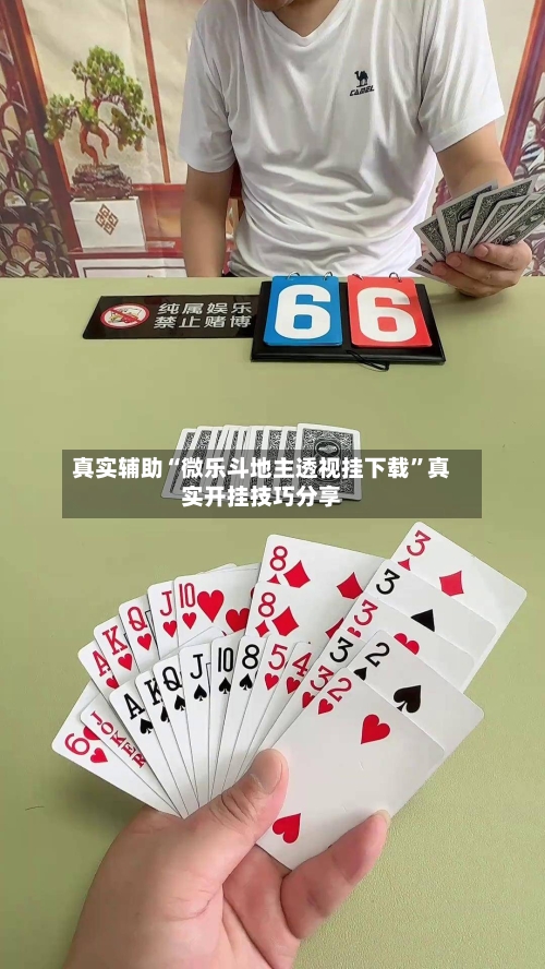 真实辅助“微乐斗地主透视挂下载”真实开挂技巧分享-第1张图片