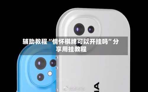 辅助教程“情怀棋牌可以开挂吗”分享用挂教程-第3张图片