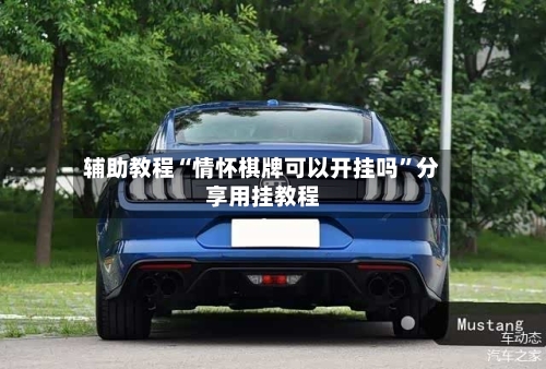 辅助教程“情怀棋牌可以开挂吗	”分享用挂教程-第2张图片