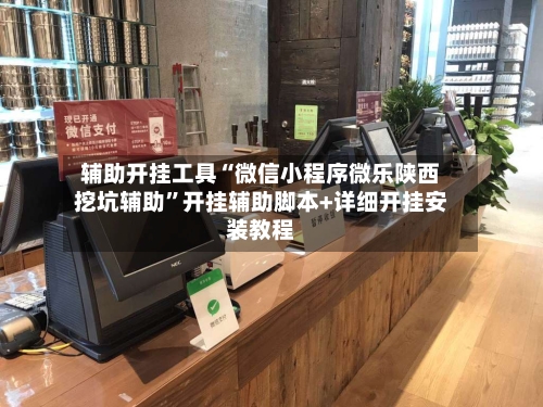 辅助开挂工具“微信小程序微乐陕西挖坑辅助”开挂辅助脚本+详细开挂安装教程-第1张图片