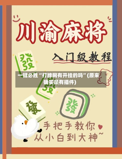 一键必胜“打牌网有开挂的吗”(原来确实是有插件)-第1张图片
