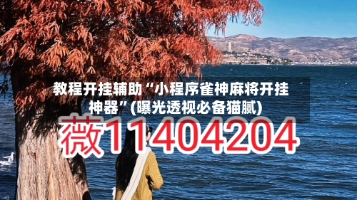 教程开挂辅助“小程序雀神麻将开挂神器”(曝光透视必备猫腻)-第2张图片