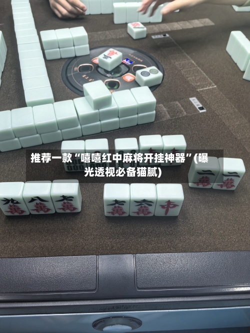 推荐一款“嘻嘻红中麻将开挂神器	”(曝光透视必备猫腻)-第2张图片
