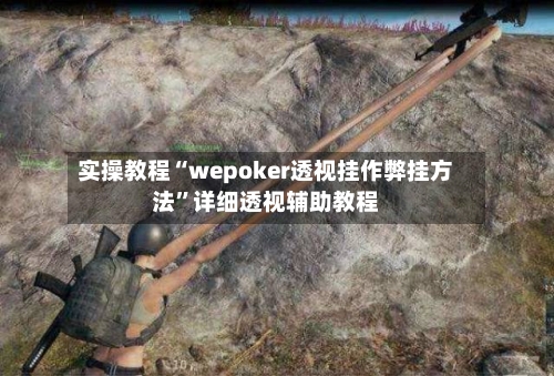实操教程“wepoker透视挂作弊挂方法”详细透视辅助教程-第1张图片