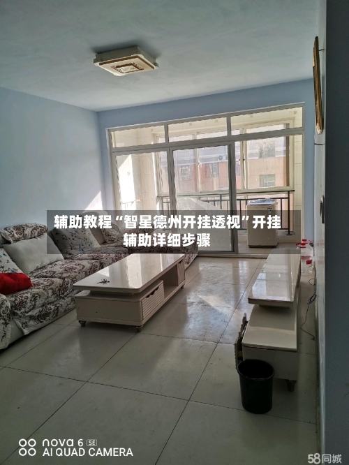 辅助教程“智星德州开挂透视”开挂辅助详细步骤-第3张图片