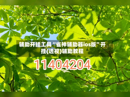 辅助开挂工具“雀神辅助器ios版”开挂(透视)辅助教程-第1张图片