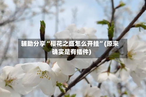 辅助分享“樱花之盛怎么开挂	”(原来确实是有插件)-第2张图片