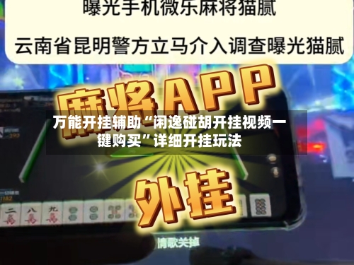 万能开挂辅助“闲逸碰胡开挂视频一键购买”详细开挂玩法-第1张图片