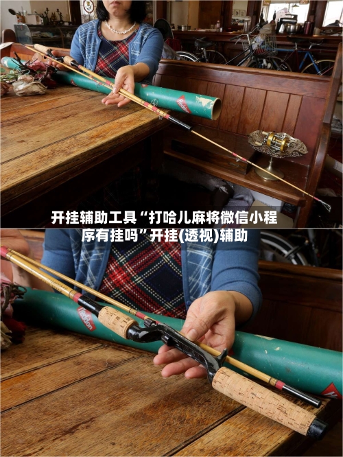 开挂辅助工具“打哈儿麻将微信小程序有挂吗”开挂(透视)辅助-第1张图片