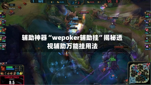 辅助神器“wepoker辅助挂	”揭秘透视辅助万能挂用法-第2张图片
