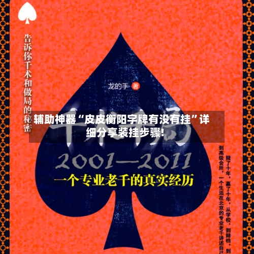 辅助神器“皮皮衡阳字牌有没有挂”详细分享装挂步骤!-第2张图片