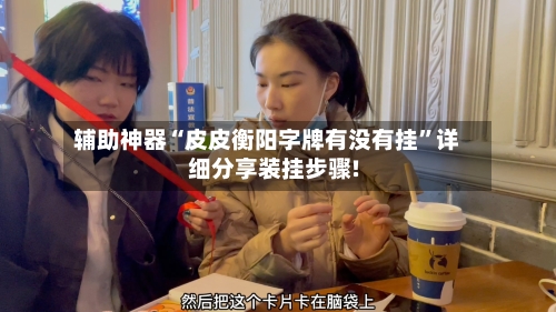 辅助神器“皮皮衡阳字牌有没有挂	”详细分享装挂步骤!-第1张图片