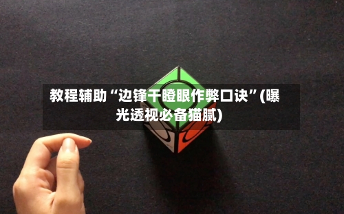 教程辅助“边锋干瞪眼作弊口诀	”(曝光透视必备猫腻)-第1张图片