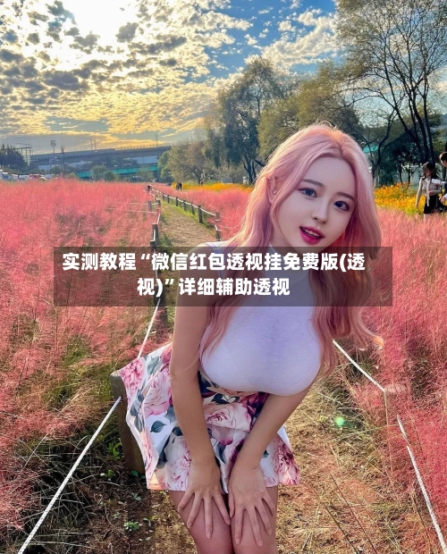 实测教程“微信红包透视挂免费版(透视)”详细辅助透视-第1张图片