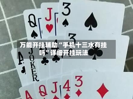 万能开挂辅助“手机十三水有挂吗”详细开挂玩法-第3张图片