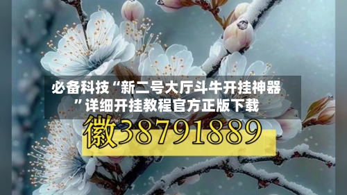 必备科技“新二号大厅斗牛开挂神器”详细开挂教程官方正版下载-第2张图片