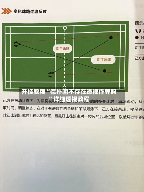 开挂教程“德扑圈不存在透视作弊吗”详细透视教程-第2张图片