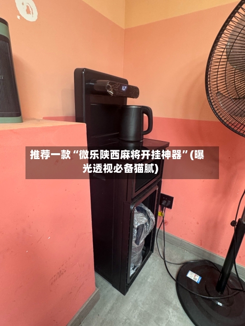 推荐一款“微乐陕西麻将开挂神器”(曝光透视必备猫腻)-第1张图片