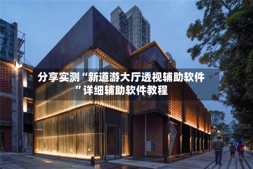 分享实测“新道游大厅透视辅助软件”详细辅助软件教程-第2张图片