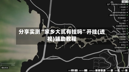 分享实测“家乡大贰有挂吗”开挂(透视)辅助教程-第1张图片