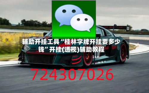 辅助开挂工具“桂林字牌开挂要多少钱	”开挂(透视)辅助教程-第1张图片