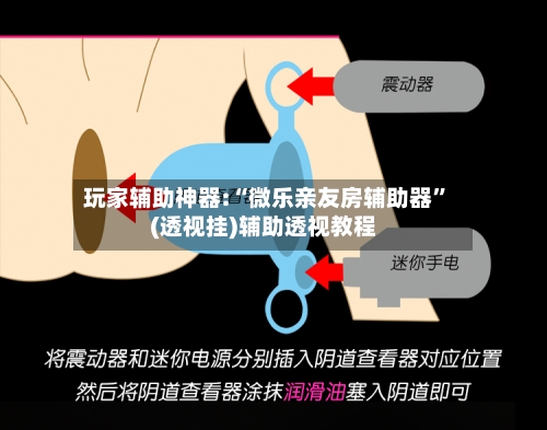 玩家辅助神器:“微乐亲友房辅助器”(透视挂)辅助透视教程-第2张图片