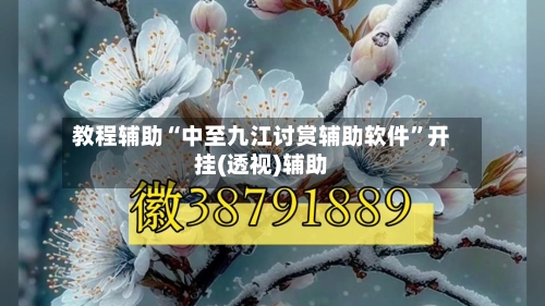 教程辅助“中至九江讨赏辅助软件”开挂(透视)辅助-第2张图片