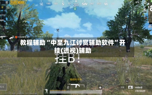 教程辅助“中至九江讨赏辅助软件”开挂(透视)辅助-第1张图片