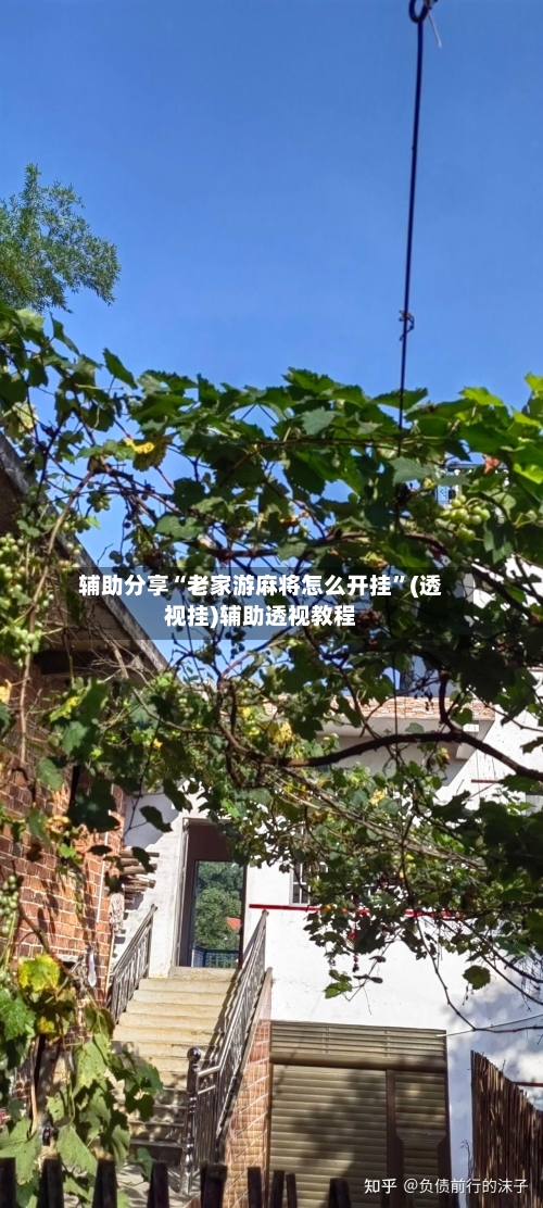 辅助分享“老家游麻将怎么开挂”(透视挂)辅助透视教程-第1张图片