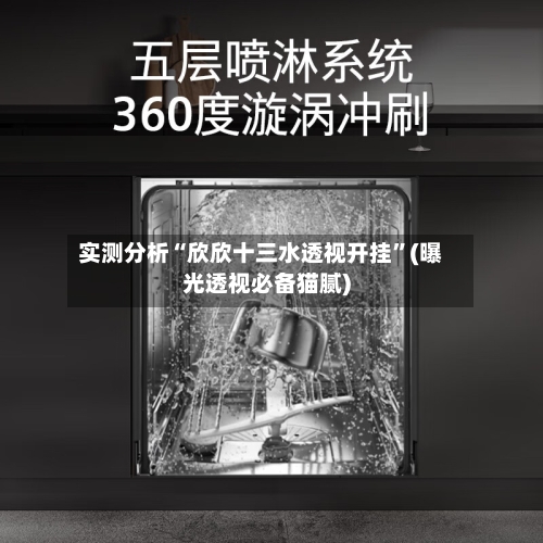 实测分析“欣欣十三水透视开挂”(曝光透视必备猫腻)-第1张图片
